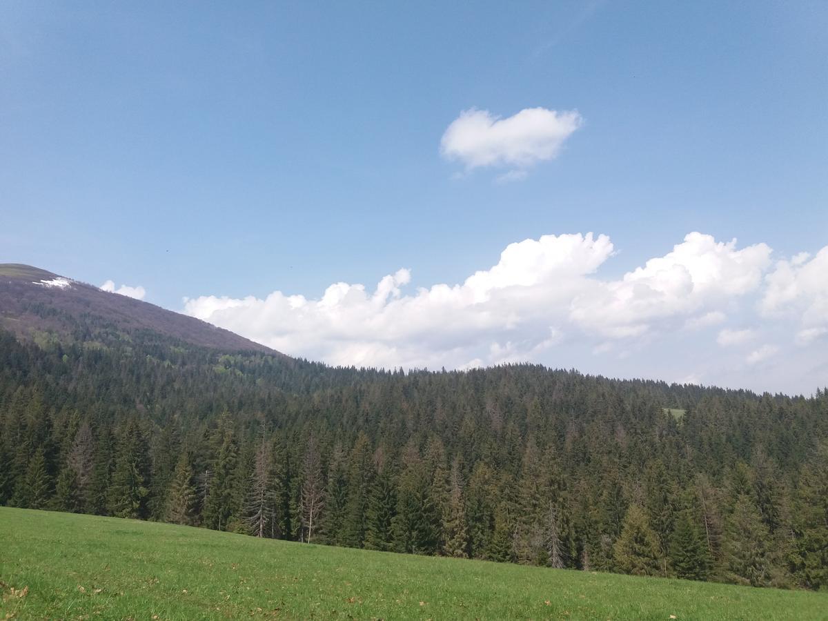 Верховинський Котедж Bukovets Exterior photo